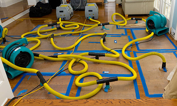 Professional Water Extraction technician working in Horseshoe Bay, TX